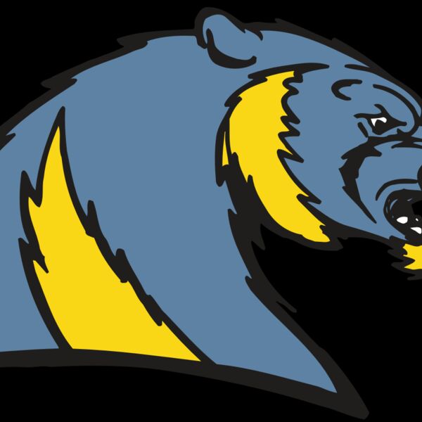 AR5 Wolverine 20 RQC Thumbnail